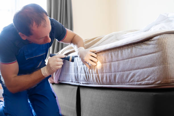 Best Bed Bug Extermination  in Springfield, MI